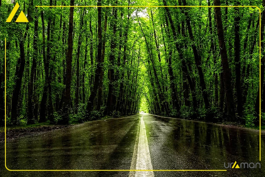 جاده جنگلی و زیبای گیسوم