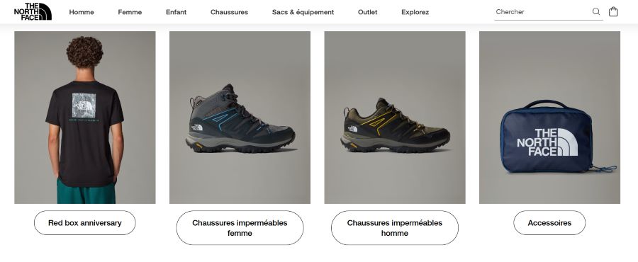 برند نورث فیس