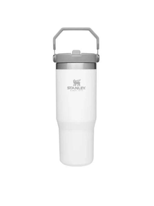 قمقمه استنلی نی دار مدل THE ICEFLOW FLIP STRAW TUMBLER