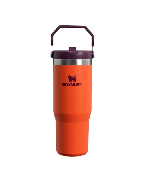 قمقمه استنلی نی دار مدل THE ICEFLOW STRAW TUMBLER