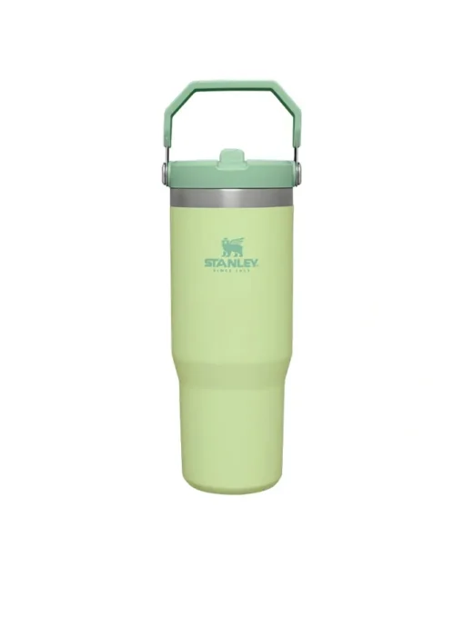 قمقمه استنلی نی دار مدل THE FLIP STRAW TUMBLER