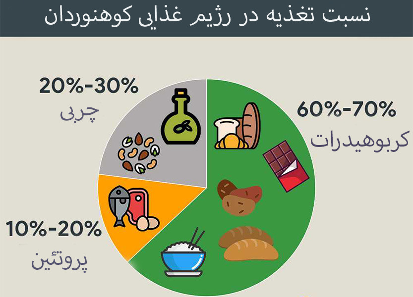 در کوهنوردی چه غذایی بخوریم؟ راهنمای انتخاب تغذیه مناسب در کوهنوردی چه غذایی بخوریم؟ راهنمای انتخاب تغذیه مناسب