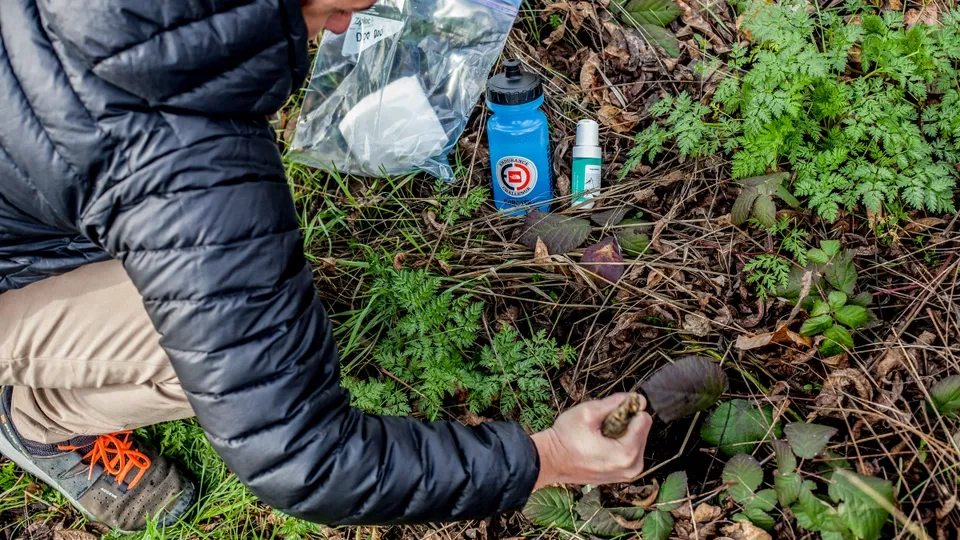 اهمیت رعایت نکات بهداشتی هنگام دستشویی در طبیعت