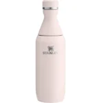 قمقمه استنلی All Day Slim Bottle 0.35L