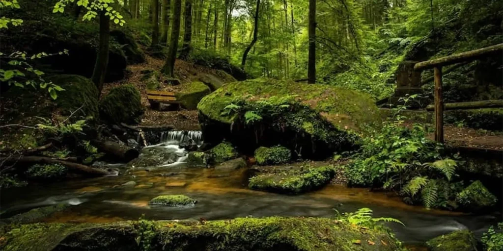 آرامش در طبیعت