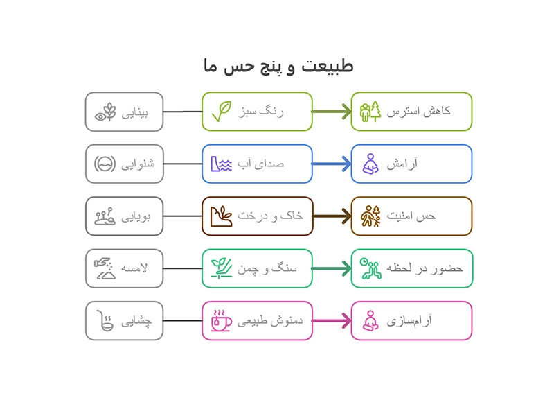 آرامش طبیعت بر روی حواس پنج گانه