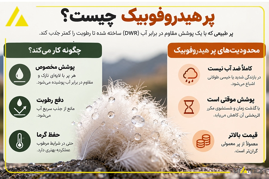 اینفو گرافیک پر هیدروبیک